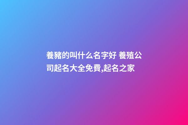 養豬的叫什么名字好 養殖公司起名大全免費,起名之家-第1張-公司起名-玄機派